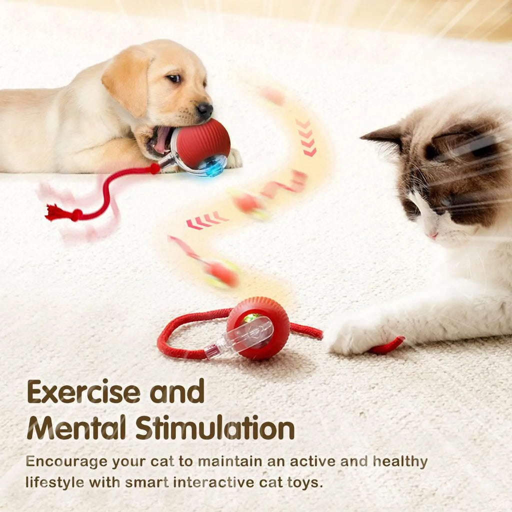 CatchMeow™ Rolling Toy