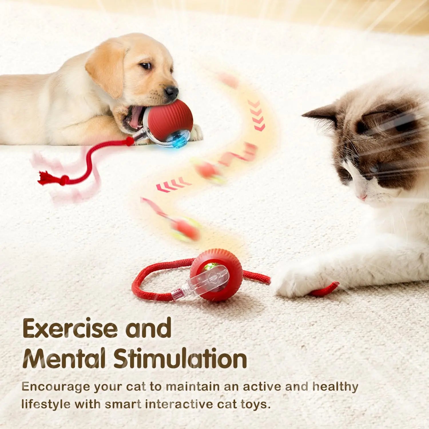 CatchMeow™ Rolling Toy
