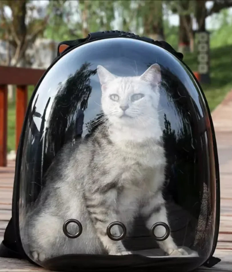 Portable Space Capsule Cat Carrier