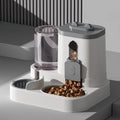 Automatic Cat Feeder with Water Fountain