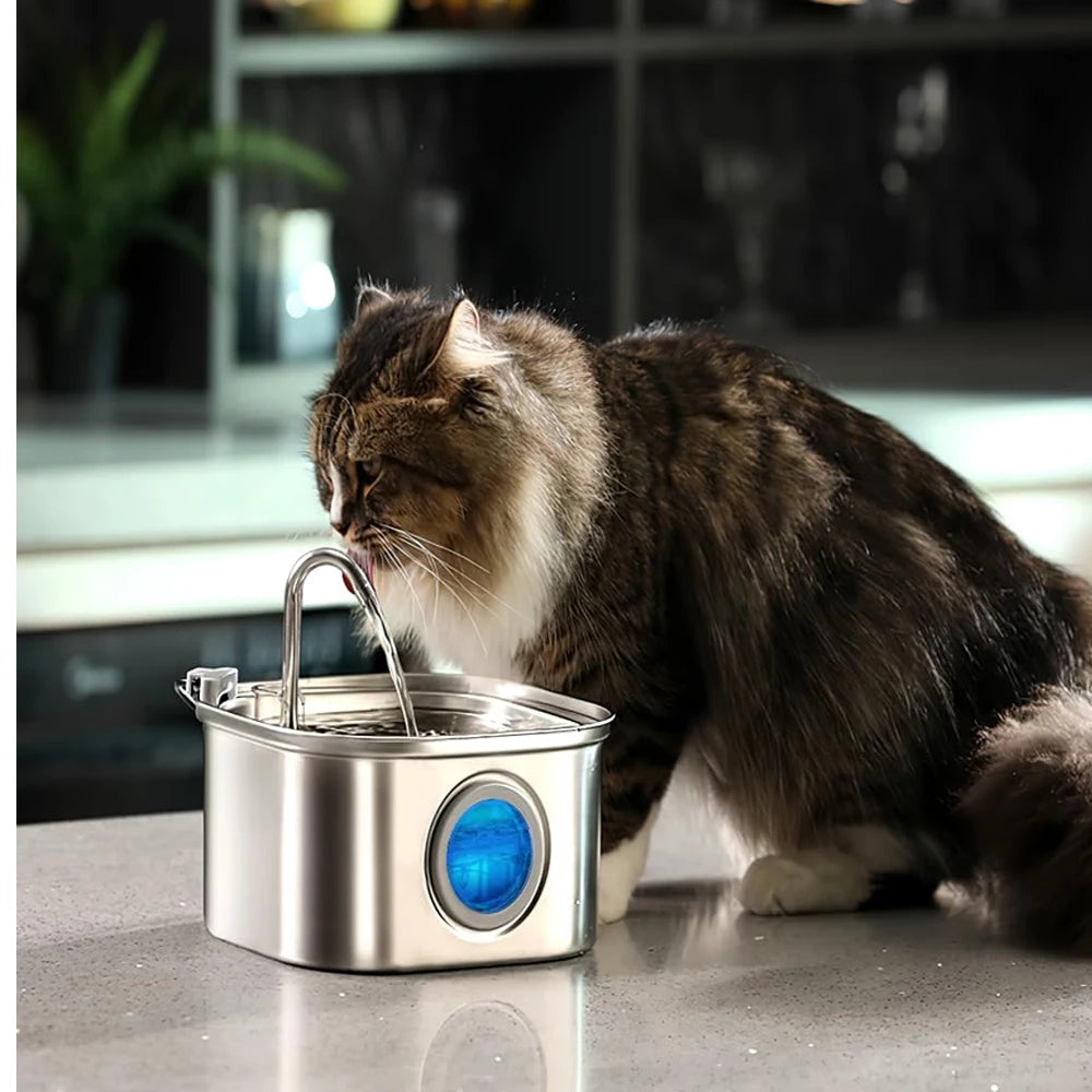 ZYFeeder 2.2L Automatic Cat Water Fountain